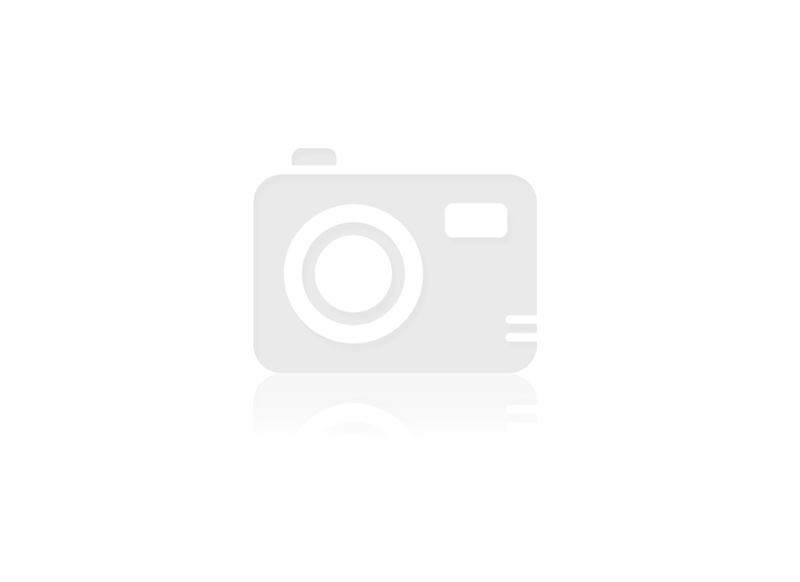 B 509 (58-23-1)